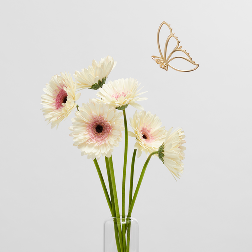 Gilded Wing Butterfly Claw Clip