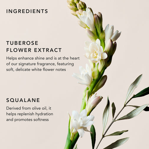 A clean cosmetic ingredient graphic with text reading 'INGREDIENTS,' 'TUBEROSE FLOWER EXTRACT,' and 'SQUALANE,' alongside a vertical floral stem of white flowers and green leaves on a light warm beige background.