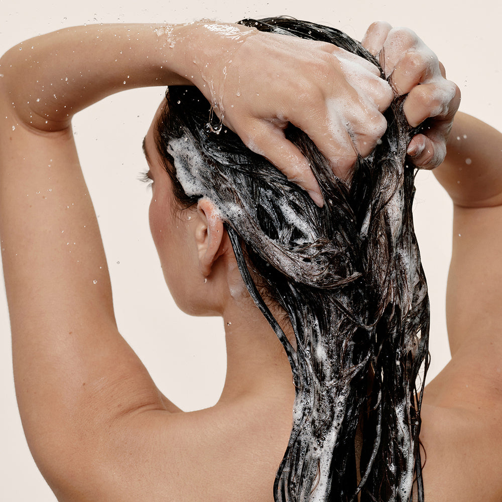 Shampoo Concentrate10