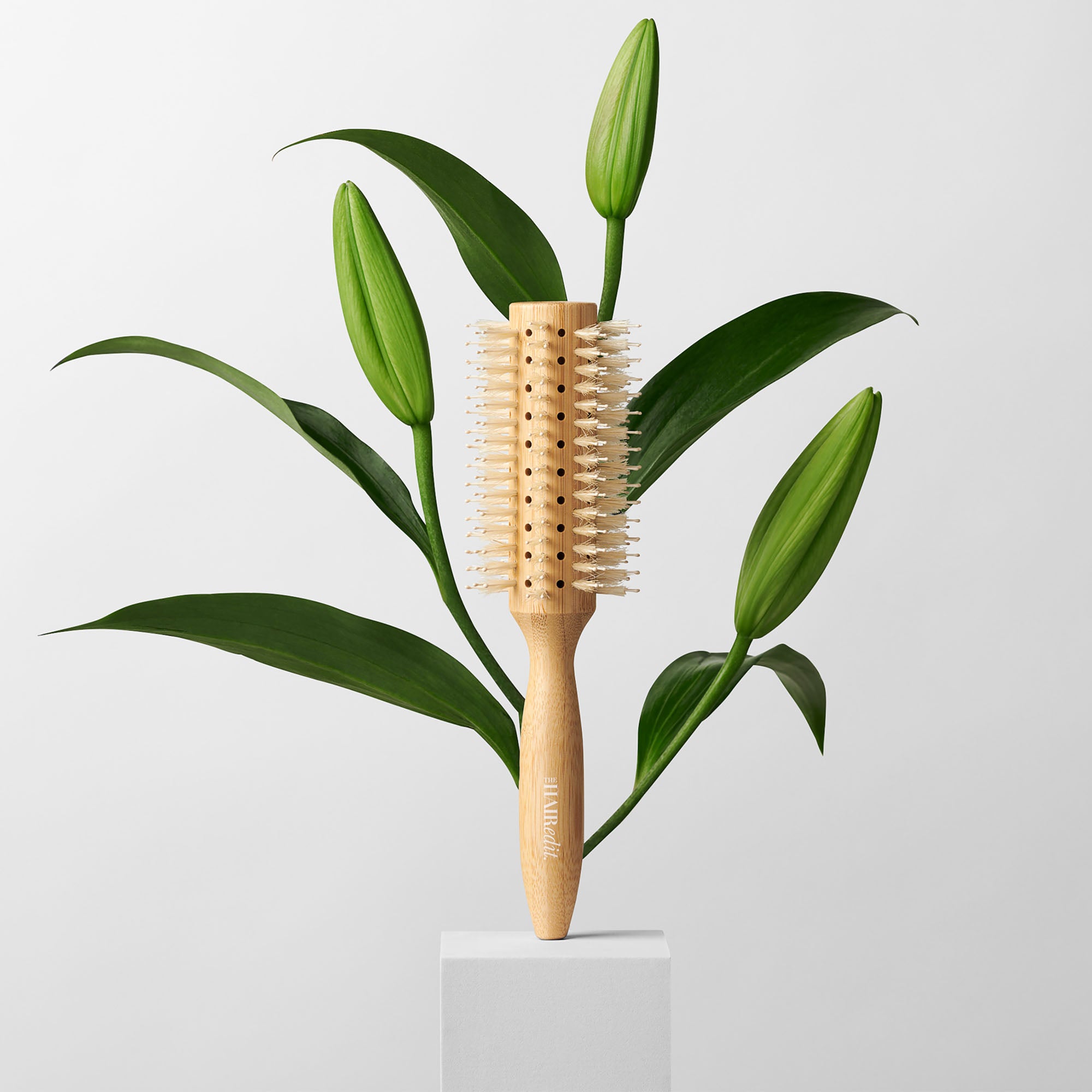 Sleek Goddess Boar Bristle Bamboo Round Brush5