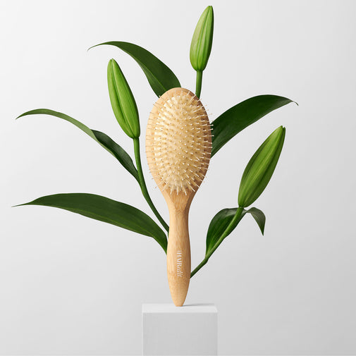 The Glossifier Boar Bristle Bamboo Brush