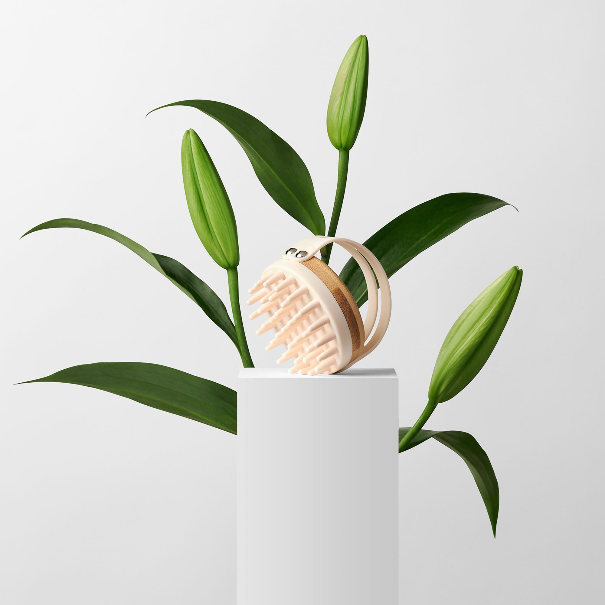 Scalp Renew Bamboo Shampoo Massage Brush5