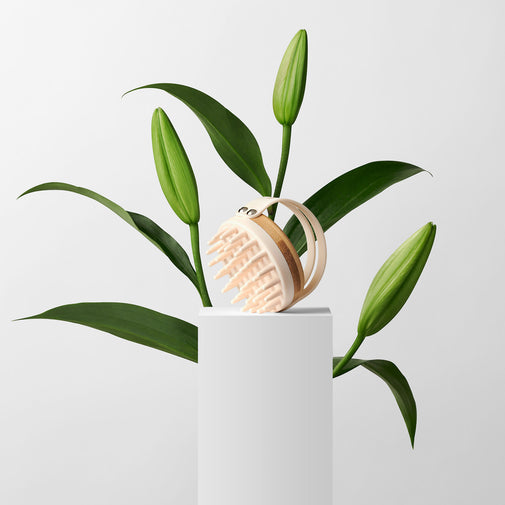Scalp Renew Bamboo Shampoo Massage Brush