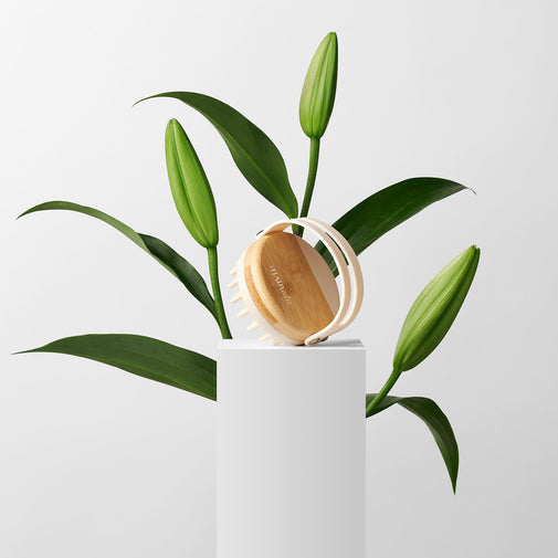 Scalp Renew Bamboo Shampoo Massage Brush