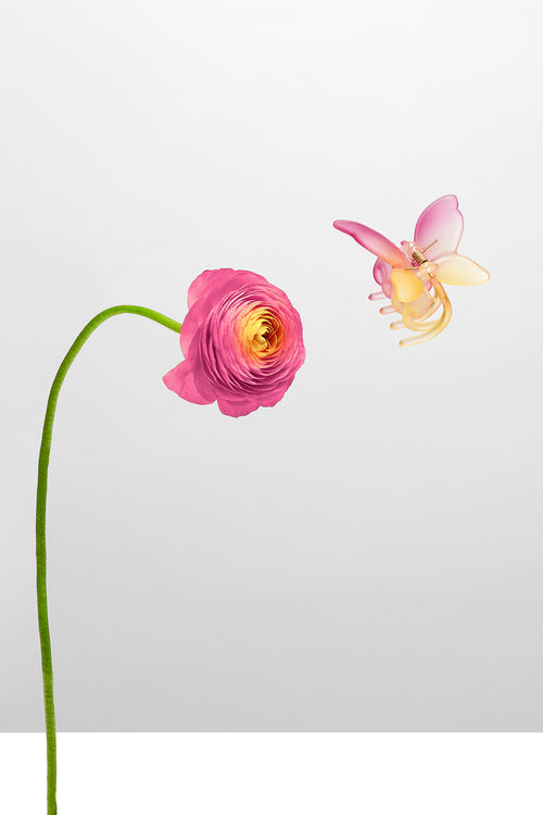 Ombre Butterfly Hair Claw Clip floating near a pink spring flower